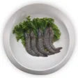 Shrimp