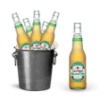 5+1 Bucket (Assorted)