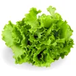 Lettuce (100g)