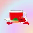 Hibiscus Roselle