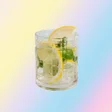 Gin and Tonic
