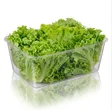 Lettuce